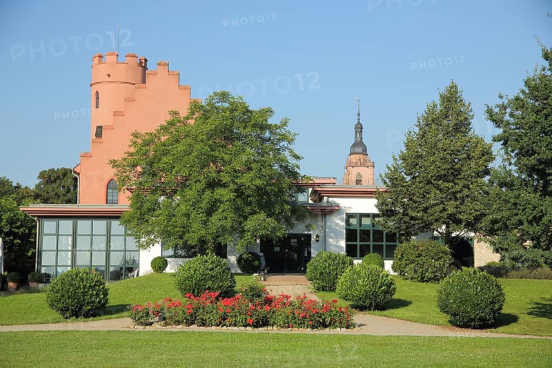 View of Crass Castle and St. Peter and Paul Church in Eltville