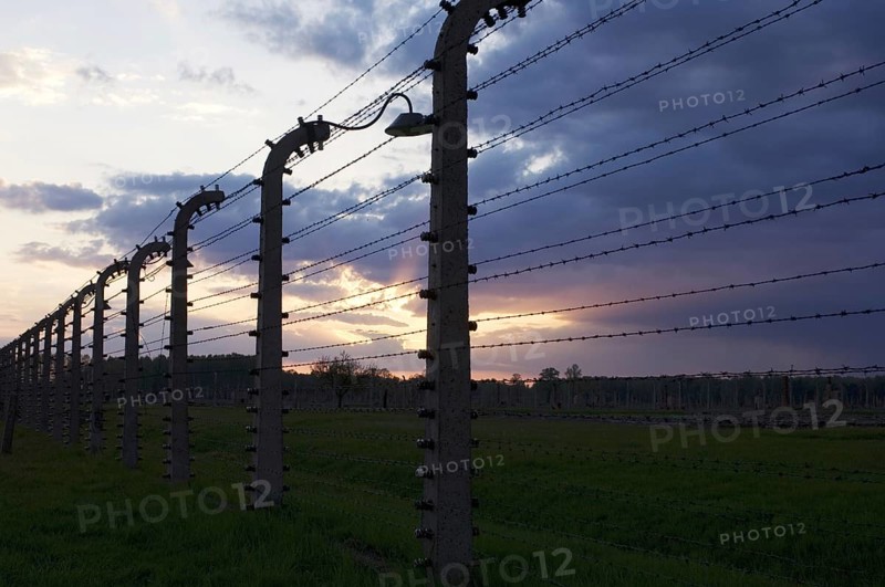 Barbed wire fence at sunset