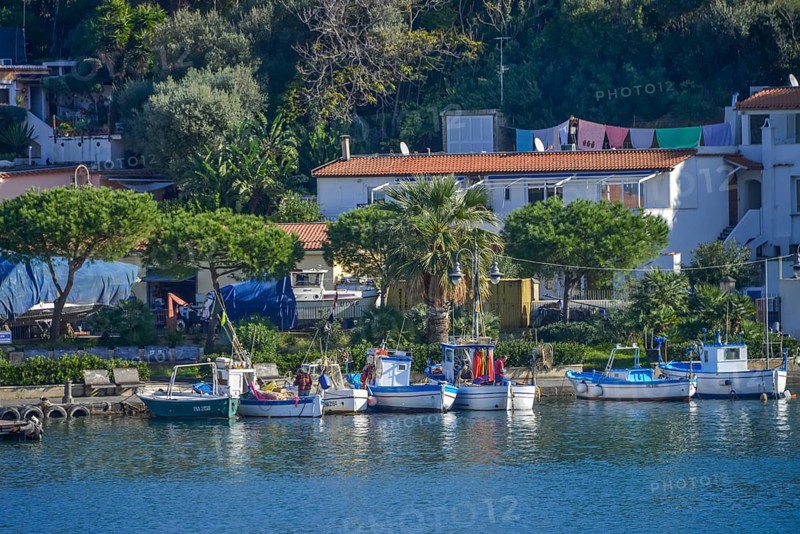 Fishing boats