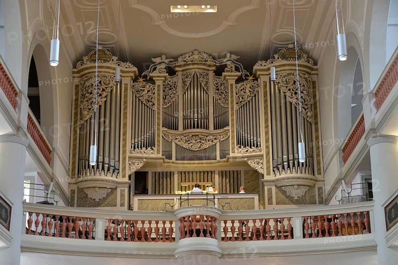 Organ