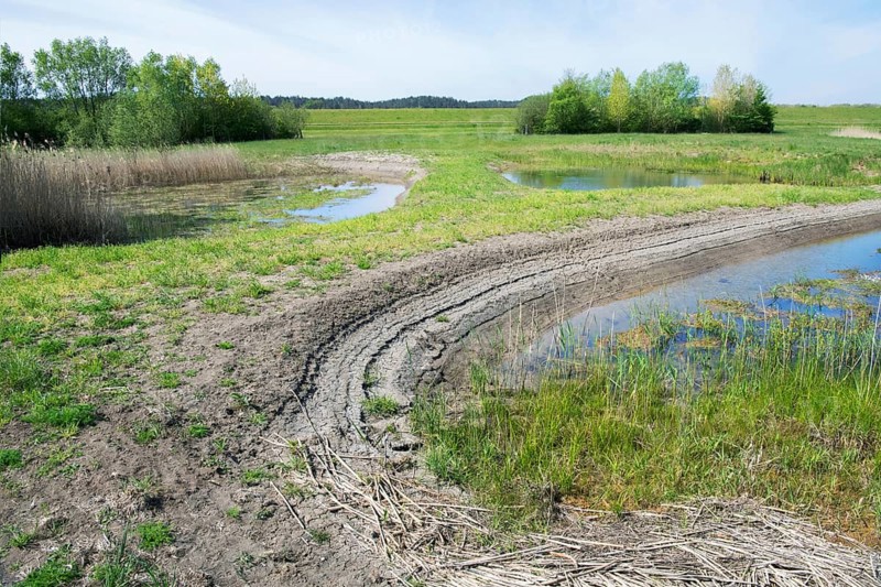 Niedersaechsische Elbtalaue