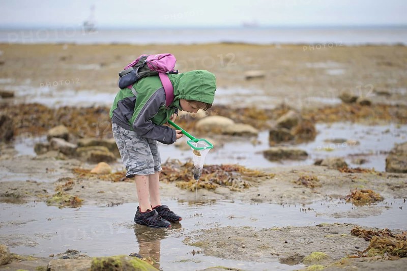 Boy rockpooling with net in coastal rockpools