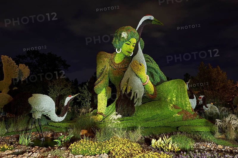 Light painting photography of a garden sculpture