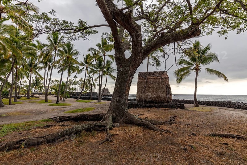 Straw hut in Puuhonua o Honaunau