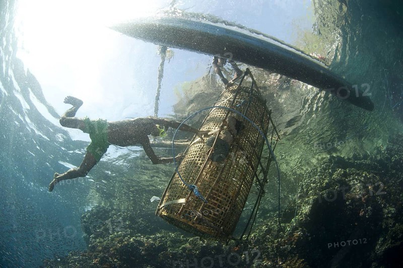 Fisherman carrying fish basket on fishing boat
