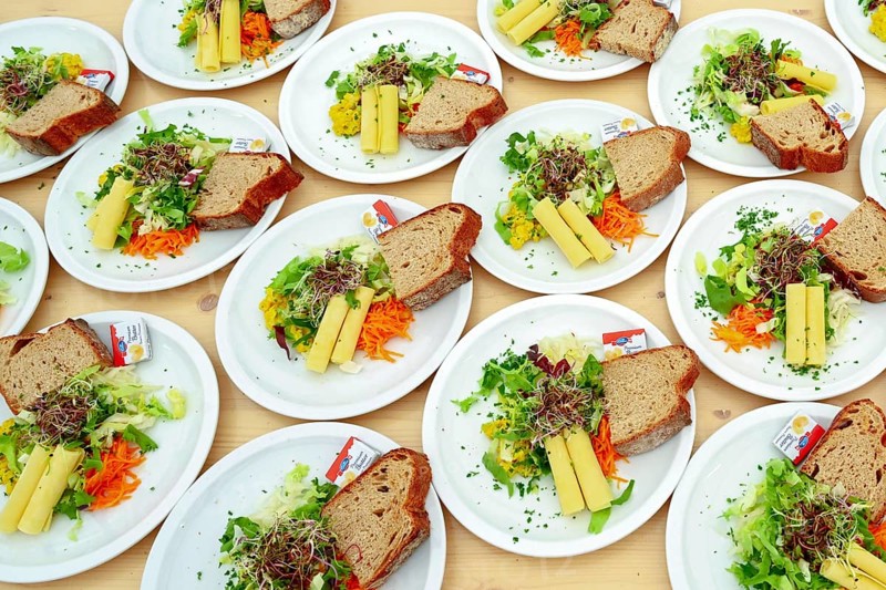 Mixed salad with sliced cheese and sprouts
