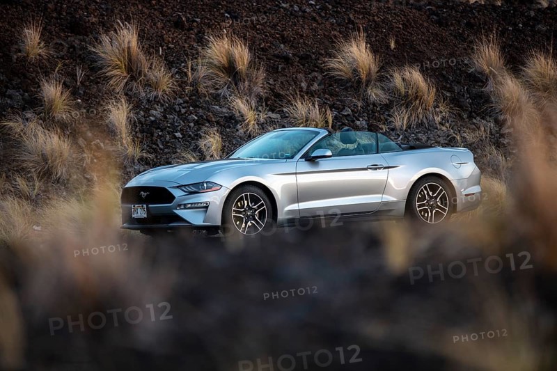 Ford Mustang Convertible