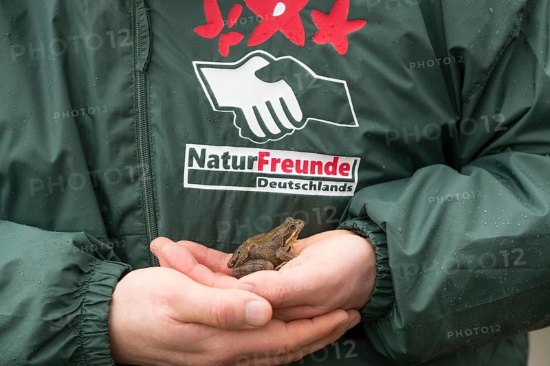 Grasfrosch