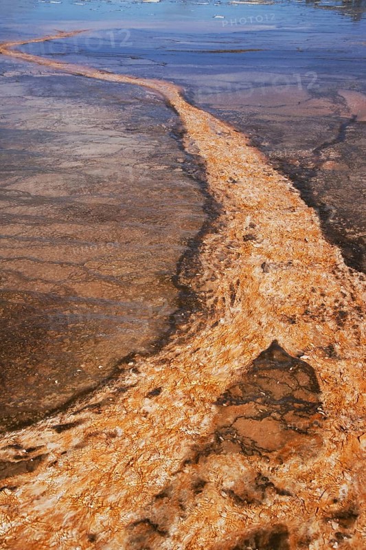 Thermophilic bacterial mats in Hotspring