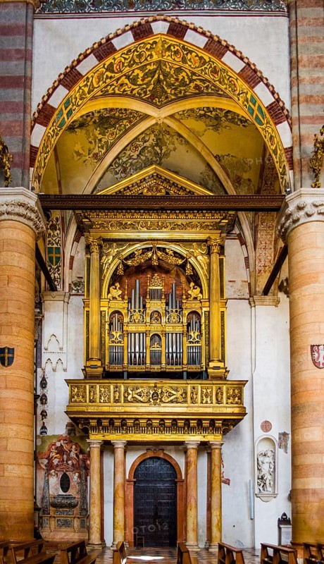 Organ