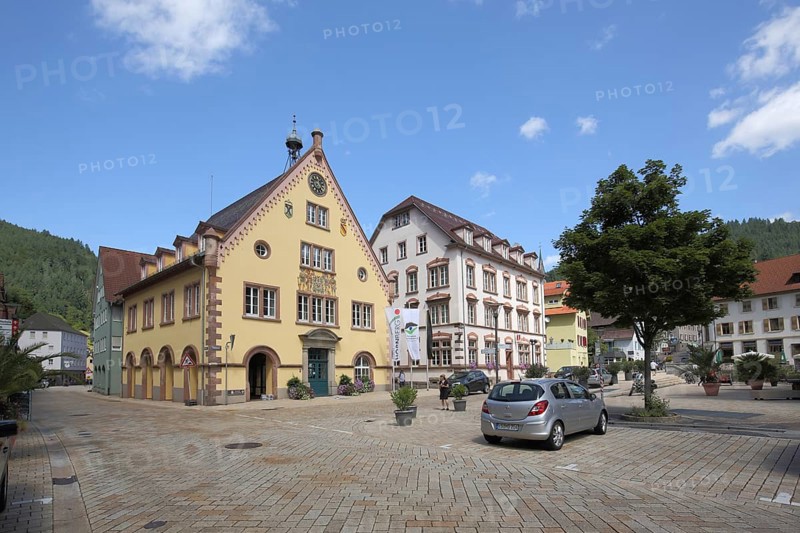 Yellow Town Hall in Hornberg