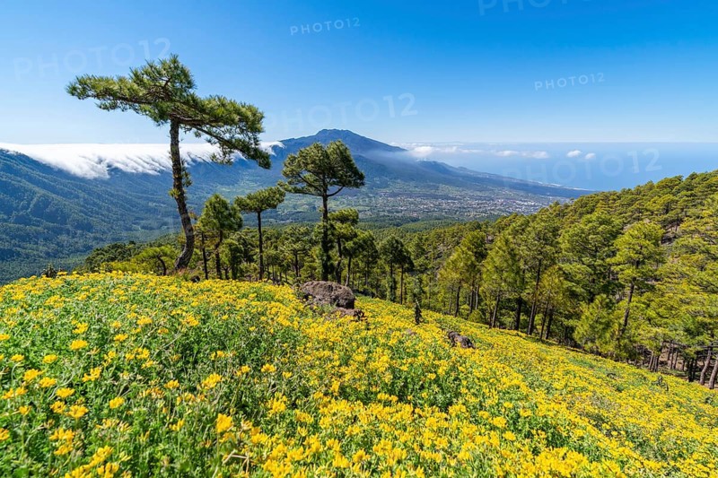 View from Risco de las Cuevas to the volcanoes of Cumbre Nueva