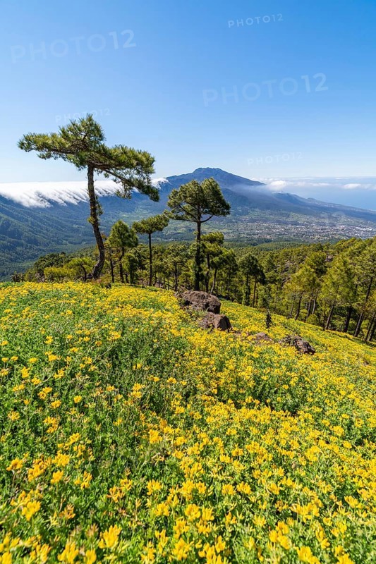 View from Risco de las Cuevas to the volcanoes of Cumbre Nueva