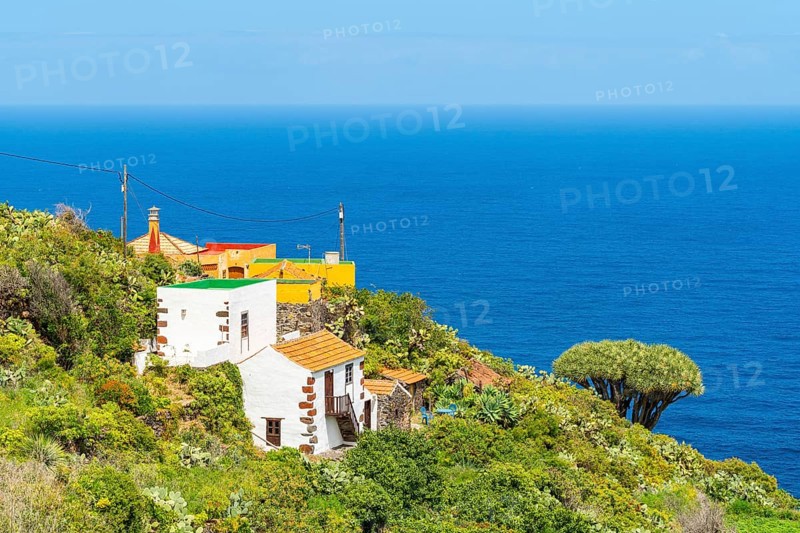 Houses and dragon trees in the village of El Tablado