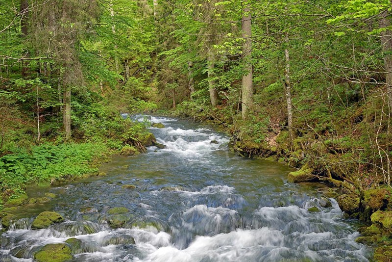 Mountain stream with rapids