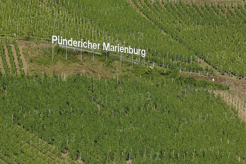 Writing in the vineyard of the wine-growing area Puendericher Marienburg in Puenderich on the Moselle