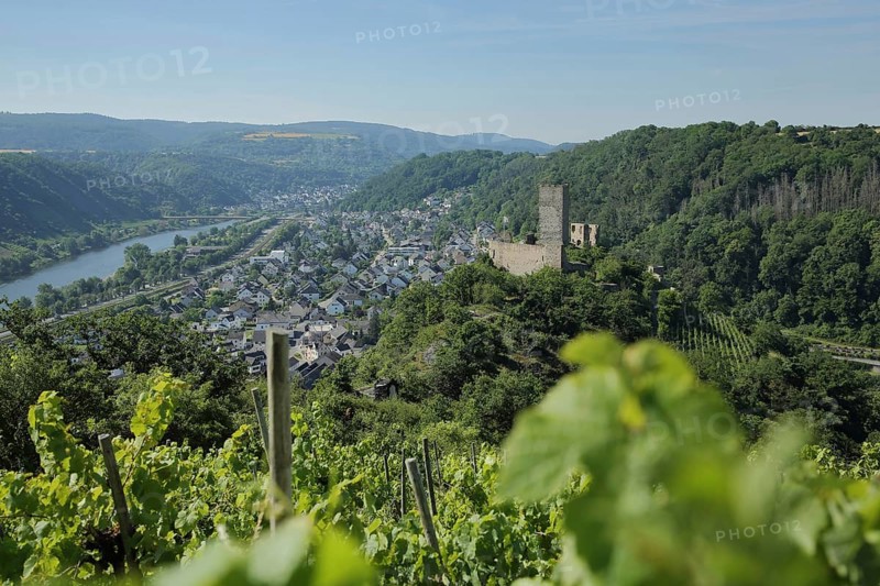 View of Niederburg Castle and landscape in the wine-growing area in Kobern