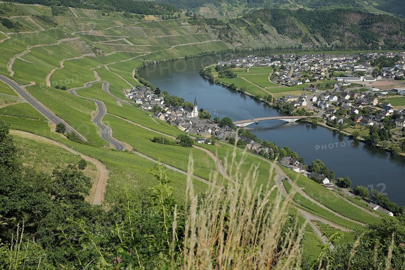 View of Piesport with serpentines in the wine-growing area of the Middle Moselle