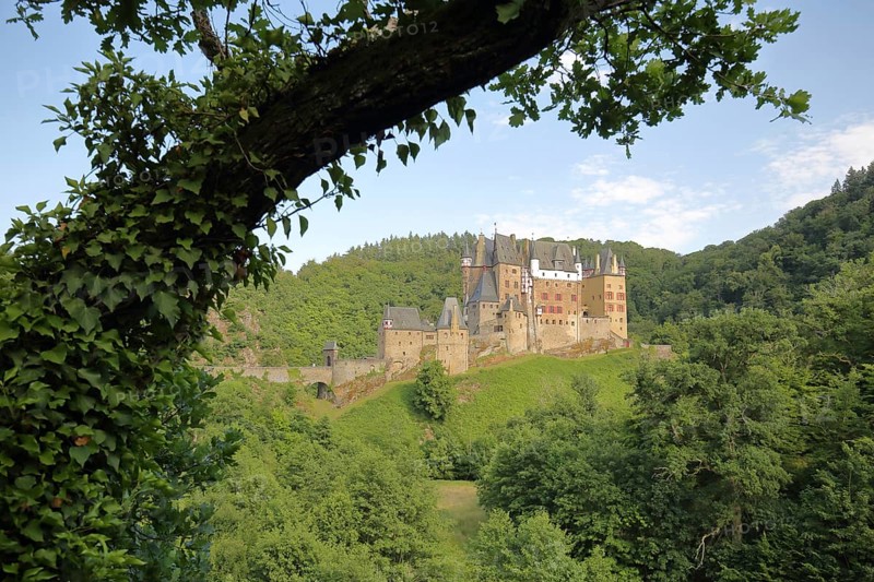 Eltz Castle built 12th century with tree root in Wierschem
