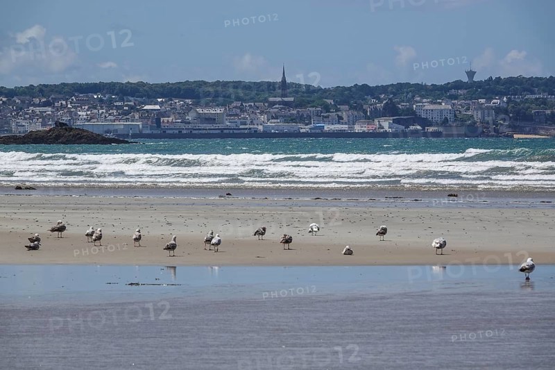 Sandy beach beach Sainte-Anne-la-Palud at low tide
