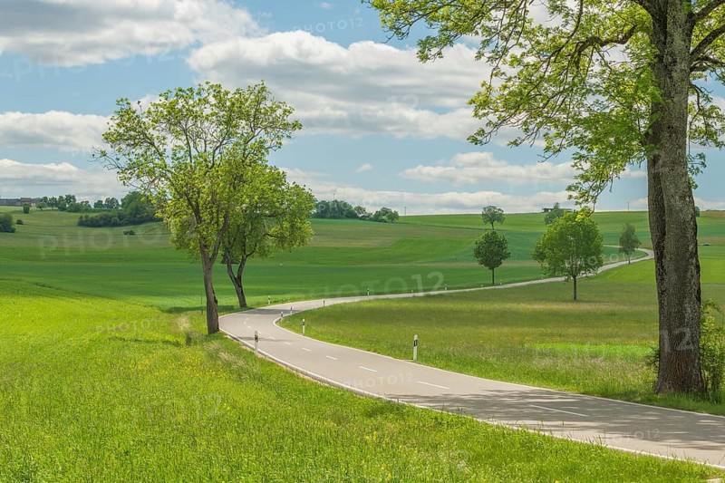 Country road near Rotenbach wiesen nature reserve. Friedenweiler