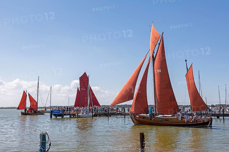 Zeesboote in the harbour