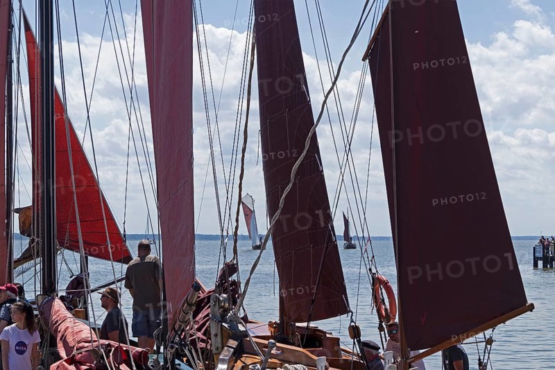 Zeesboote in the harbour