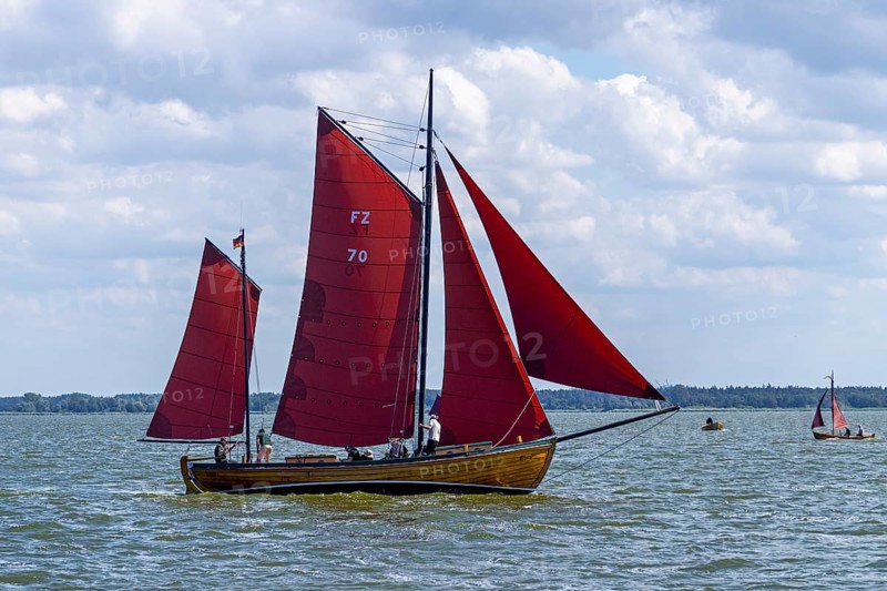 Zeesboot Regatta
