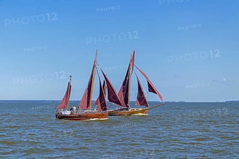 Zeesboot Regatta