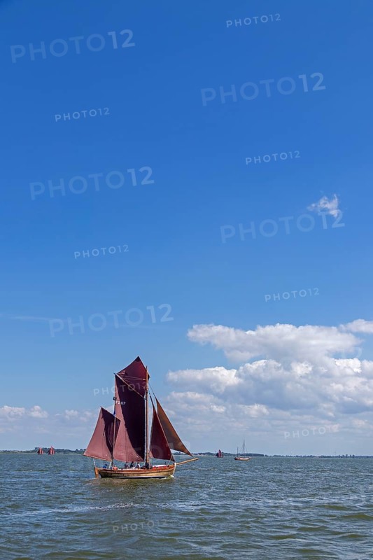 Zeesboot Regatta