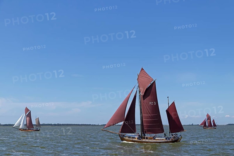 Zeesboot Regatta