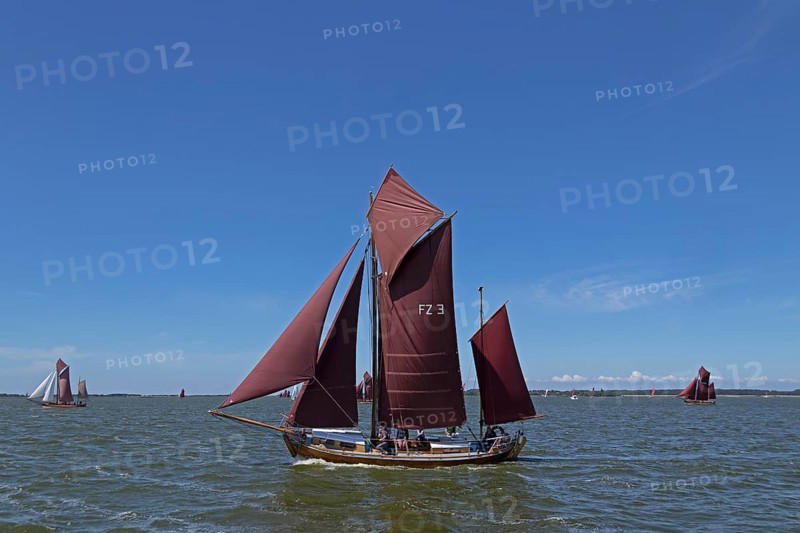 Zeesboot Regatta