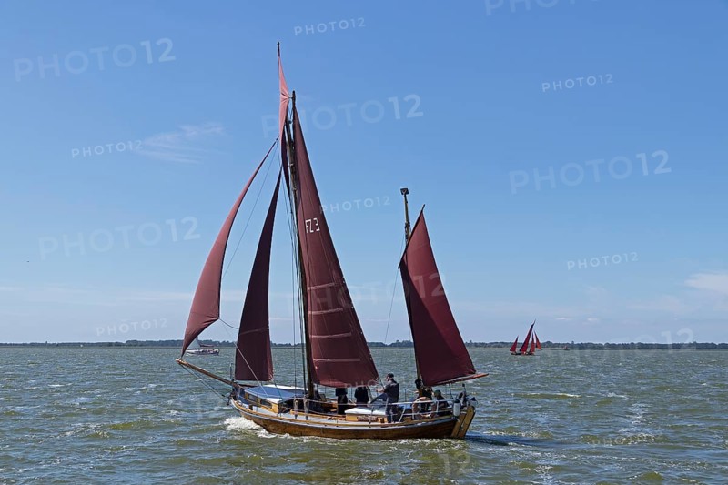 Zeesboot Regatta