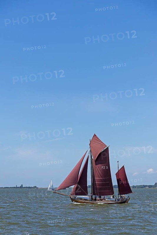 Zeesboot Regatta