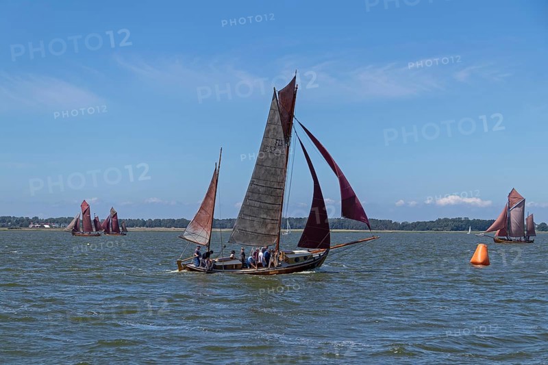 Zeesboot Regatta