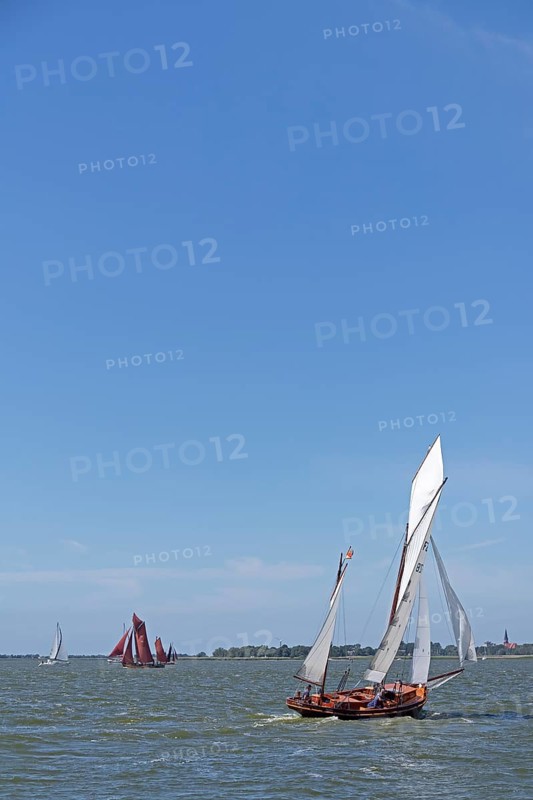 Zeesboot Regatta
