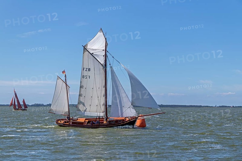 Zeesboot Regatta