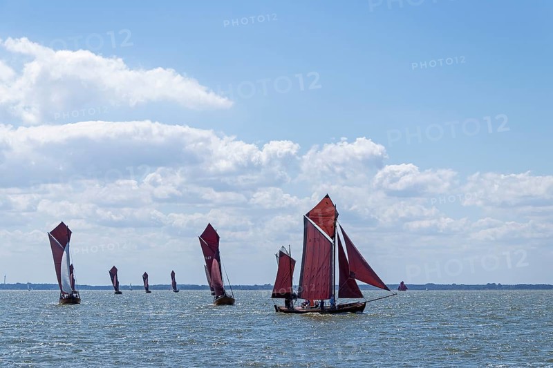 Zeesboot Regatta