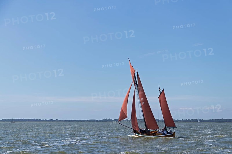 Zeesboot Regatta