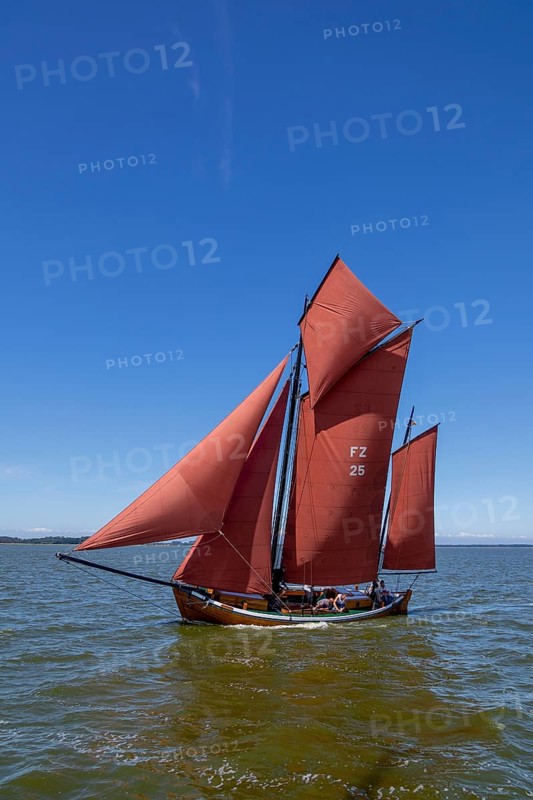 Zeesboot Regatta