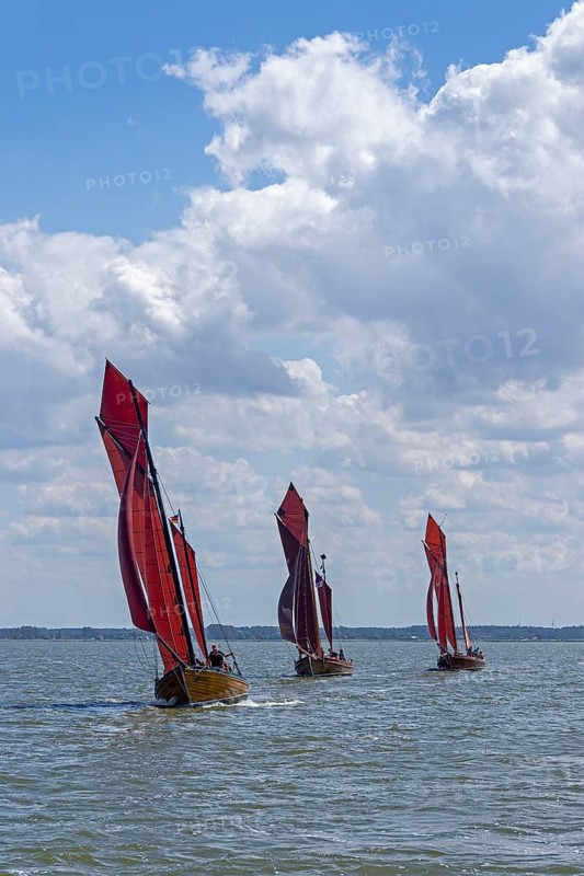 Zeesboot Regatta
