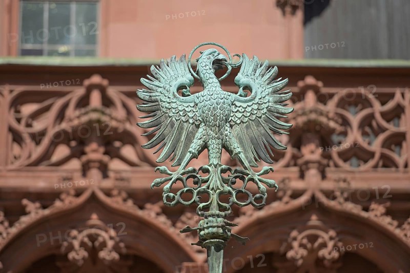 Imperial Eagle