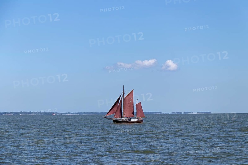 Zeesboot Regatta