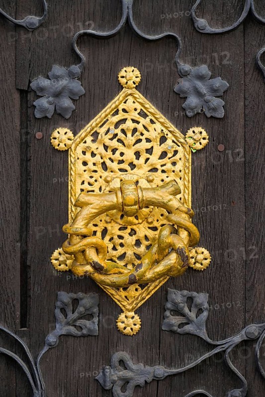 Golden door handle