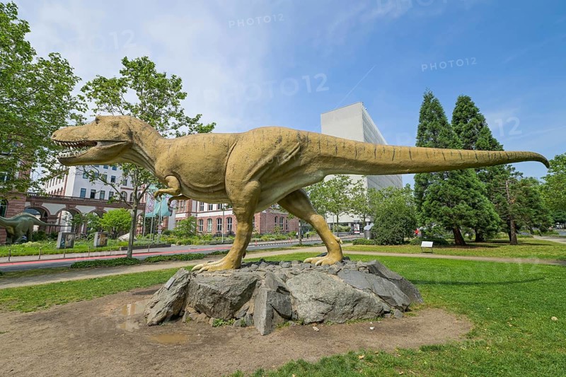 Tyrannosaurus Rex in front of the Senckenberg Museum