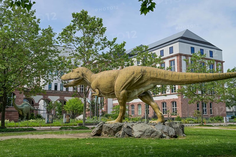 Tyrannosaurus Rex in front of the Senckenberg Museum