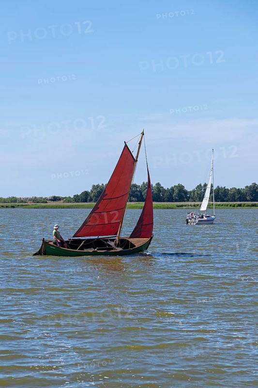 Sailing boats