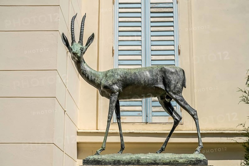 Gazelle figure by Wilhelm Wolff