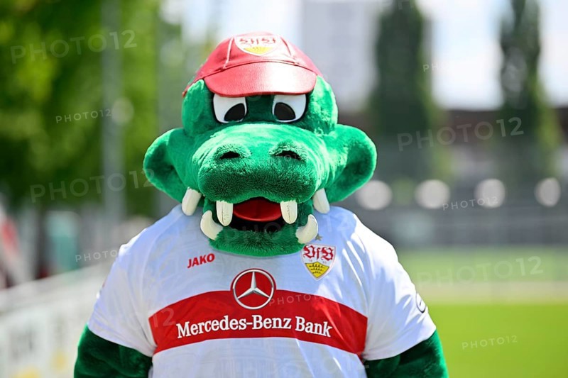 Mascot Fritzle VfB Stuttgart Portrait appointment VfB Stuttgart 2022 2023 Licensed player Football 1st Bundesliga Men GER Stuttgart 05. 07. 2022