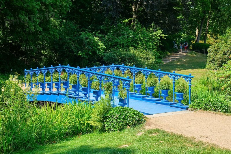 Fuchsia Bridge